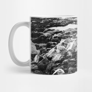 Rocks, Snow, Water Mug
